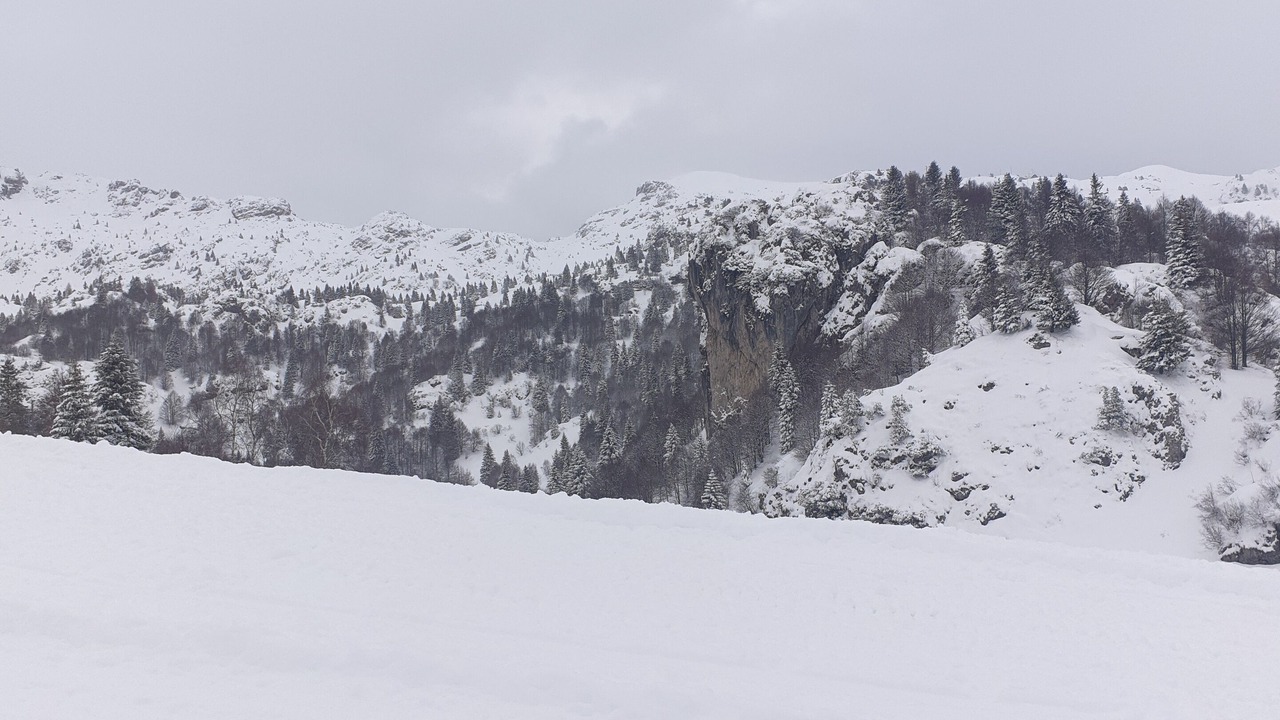 Photo of Others in Moggio