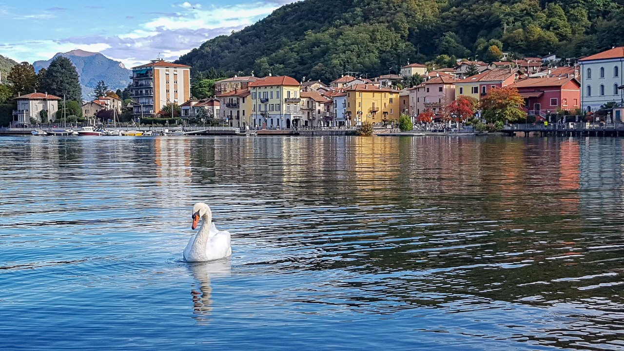 Photo of Others in Porto Ceresio