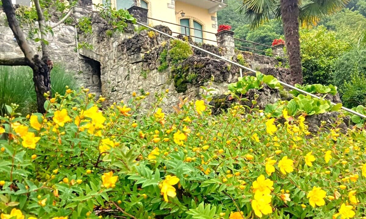Photo of Outdoor in Perledo