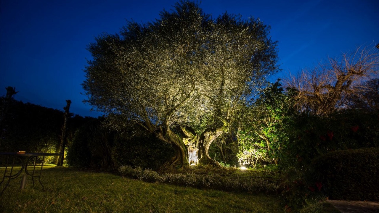 Photo of Outdoor in Ponti sul Mincio