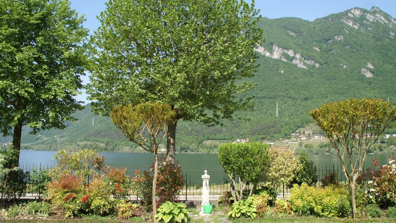 Photo of Outdoor in Crone