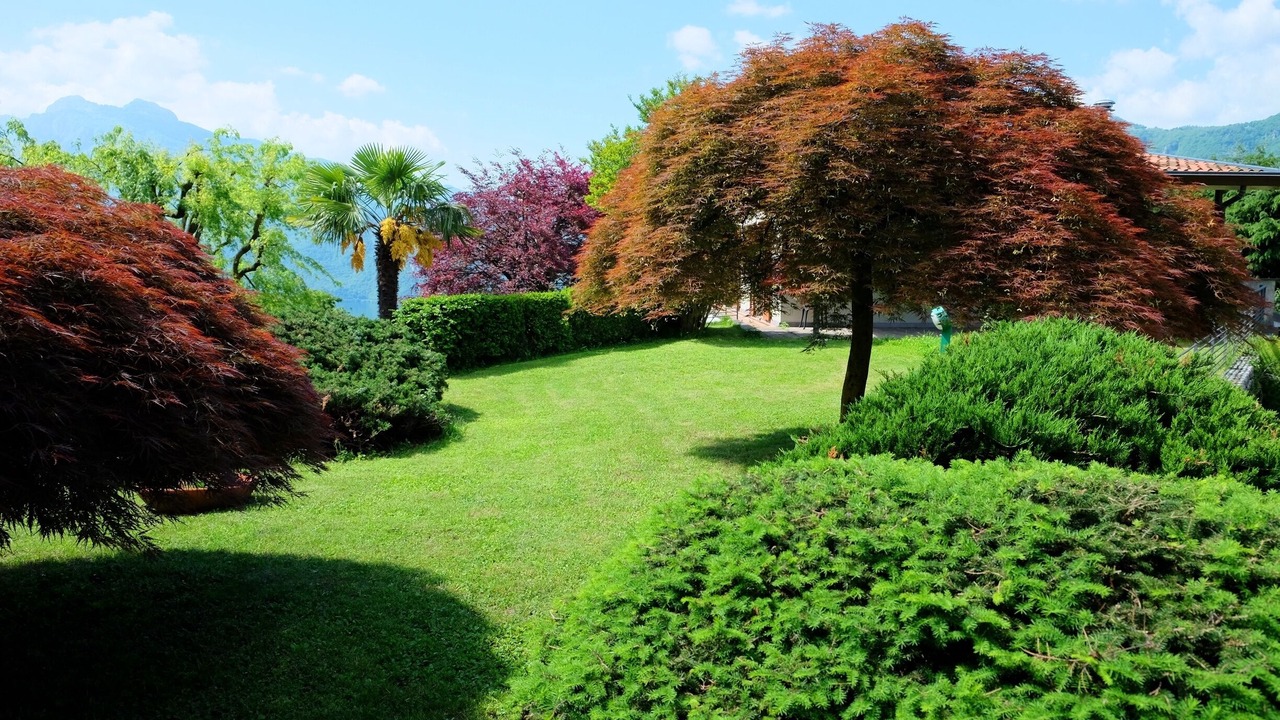 Photo of Outdoor in Mandello del Lario