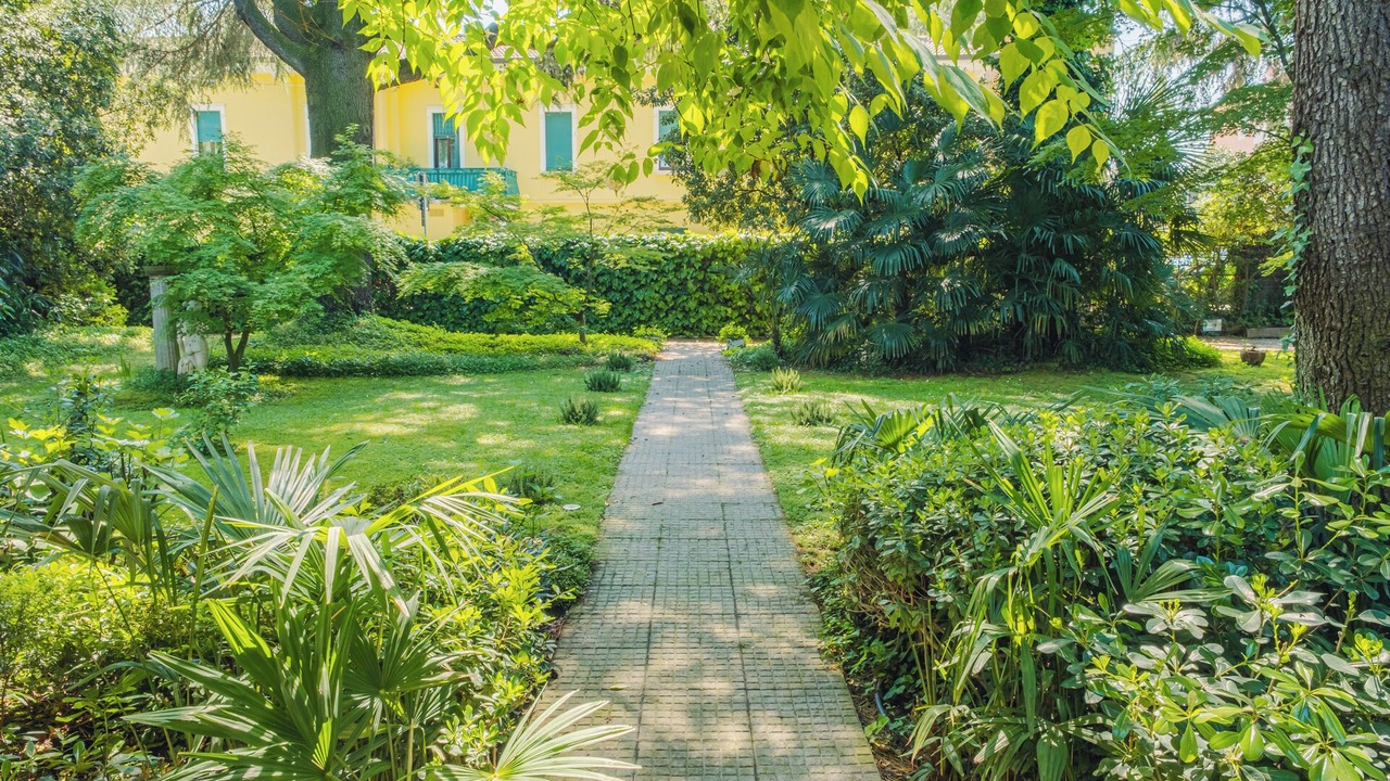 Photo of Outdoor in Desenzano del Garda