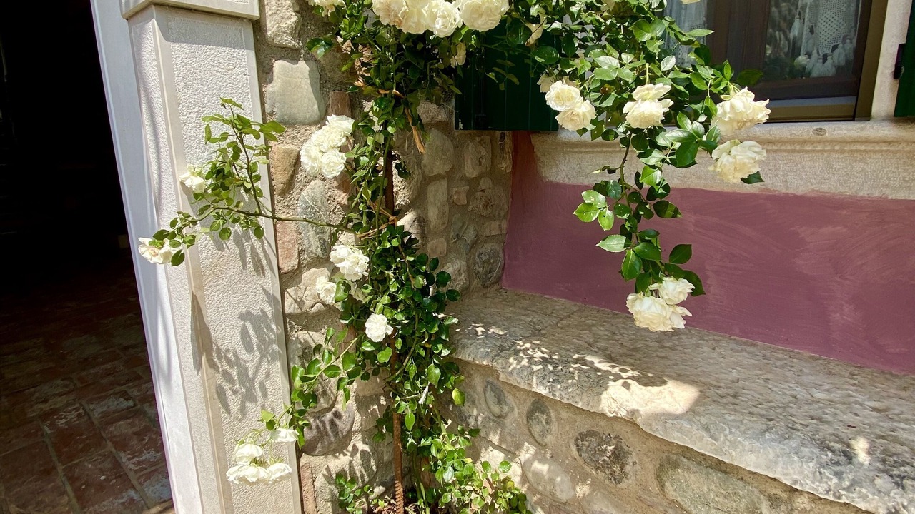 Photo of Outdoor in Gavardo