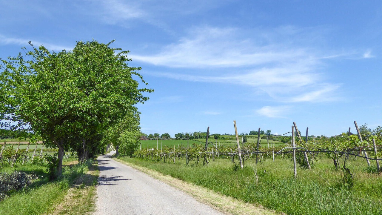 Photo of Others in Cavriana