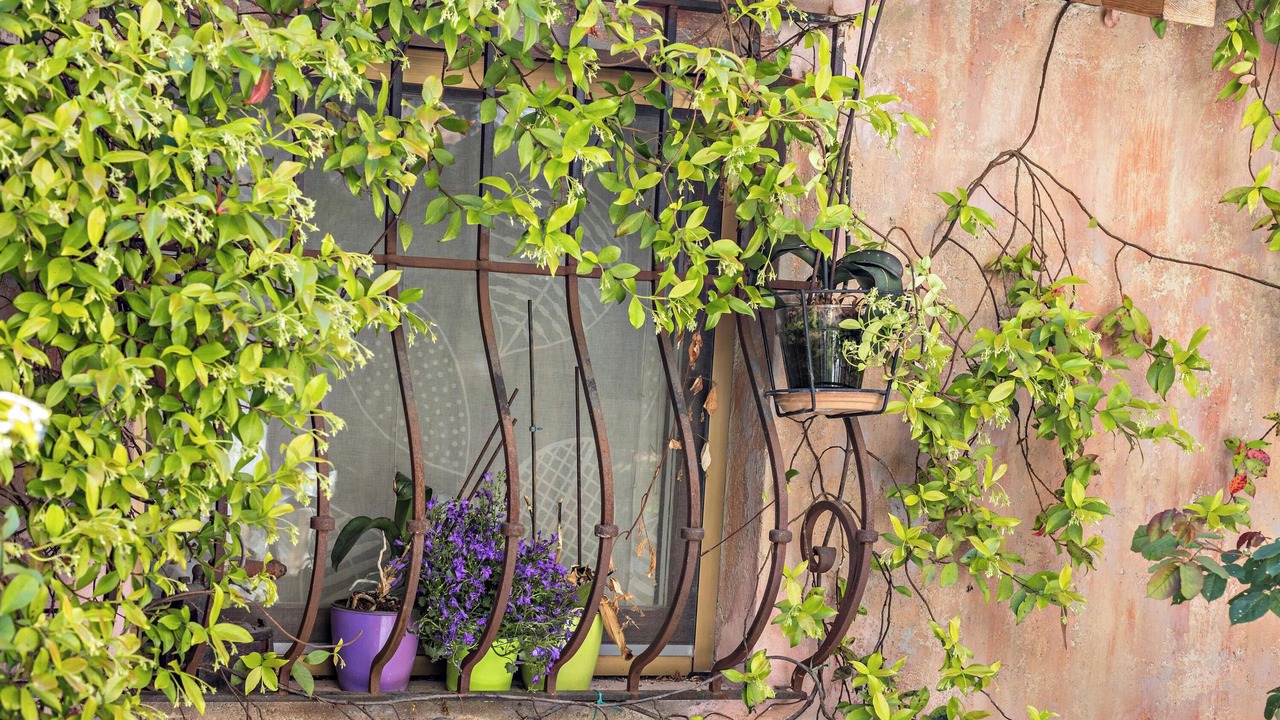 Photo of Outdoor in Salo