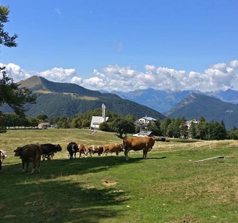 Photo of Others in Pian delle Betulle