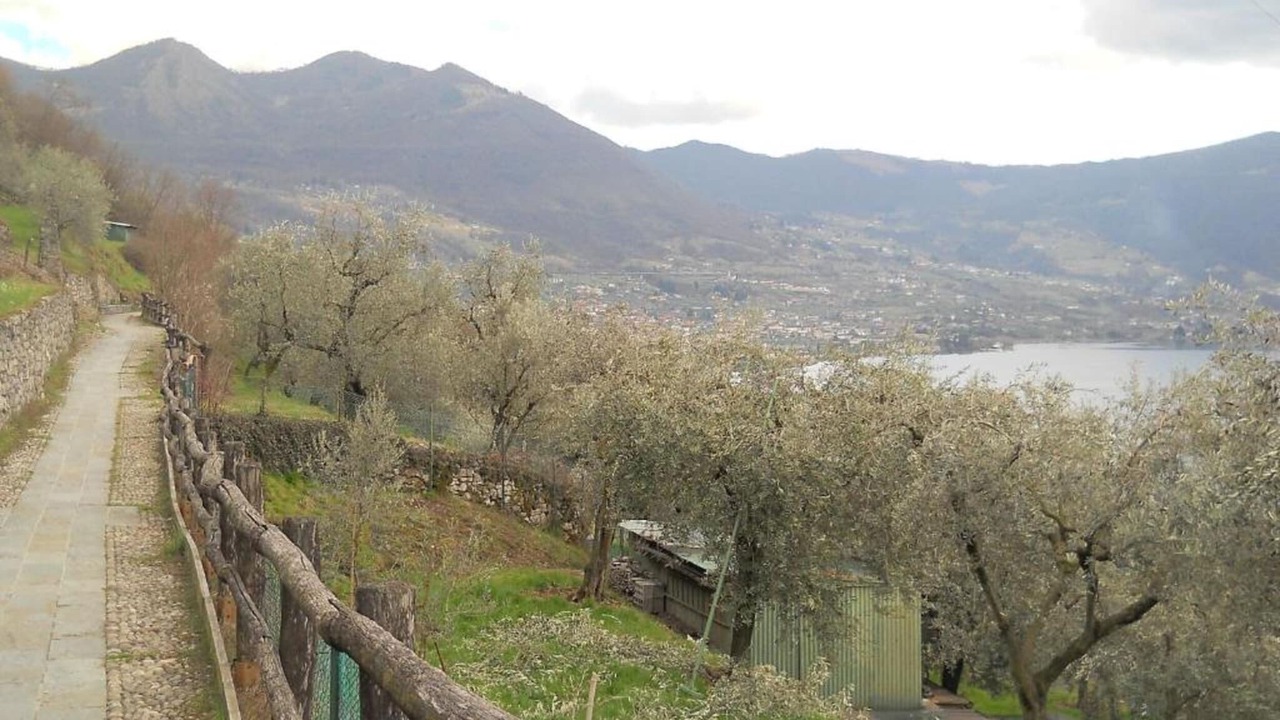 Photo of Others in Marone