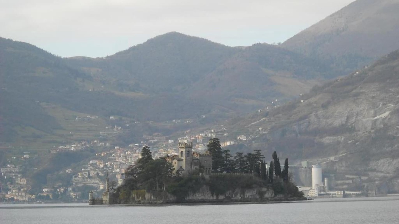 Photo of Others in Marone