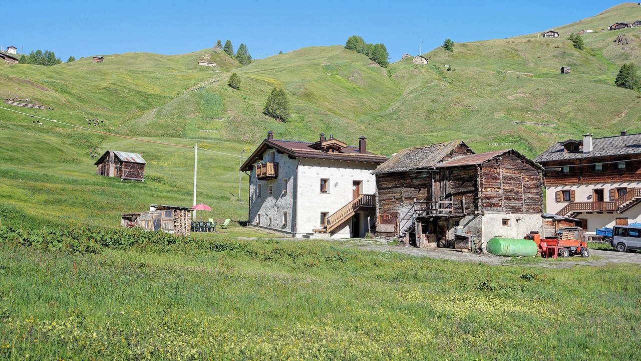 Photo of Outdoor in Trepalle