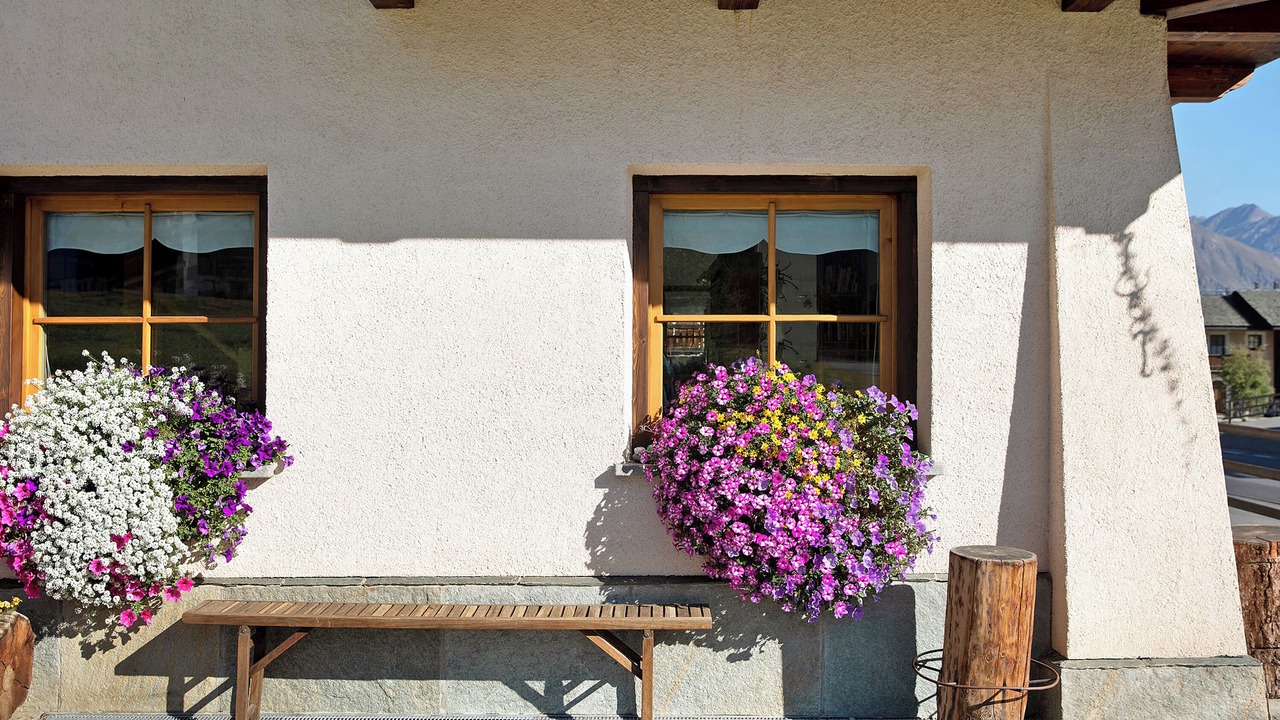 Photo of Outdoor in Livigno