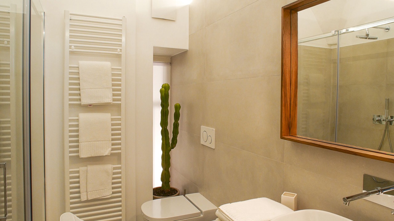 Photo of Bathroom in Chiavenna