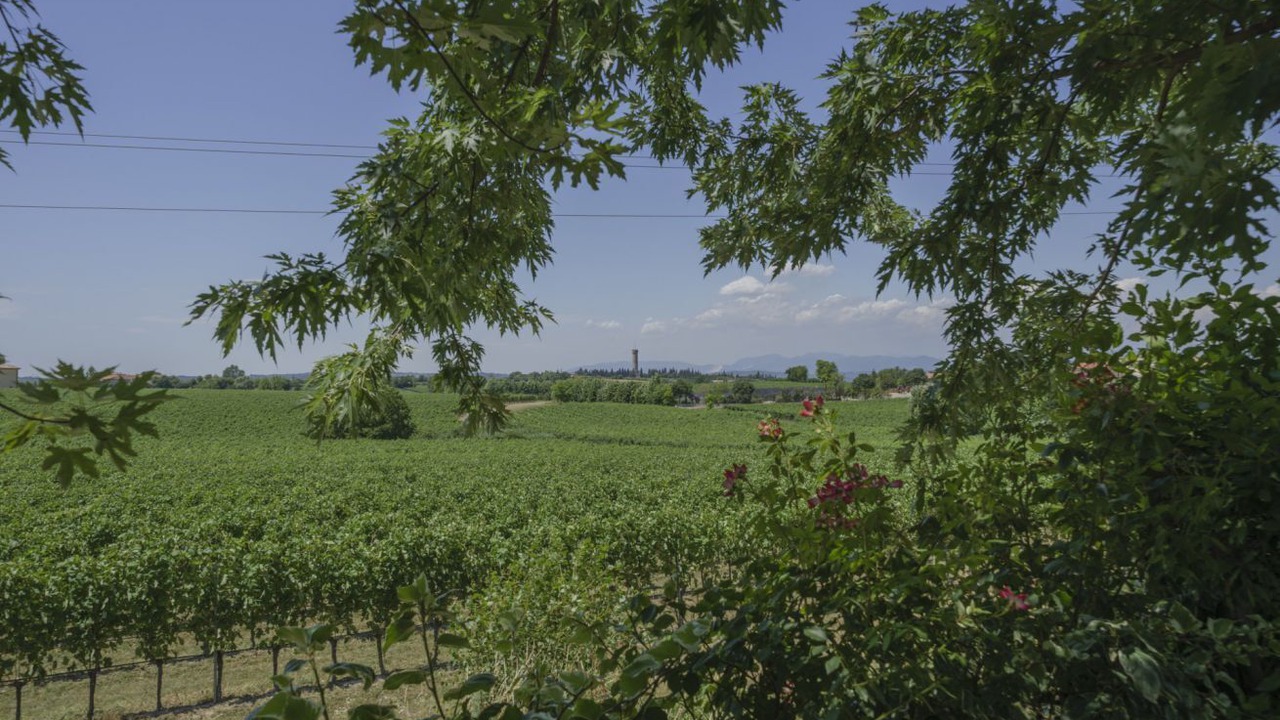 Photo of Others in Pozzolengo