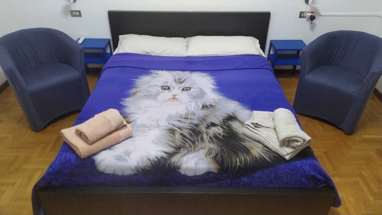 Photo of Bedroom in San Giuliano Milanese