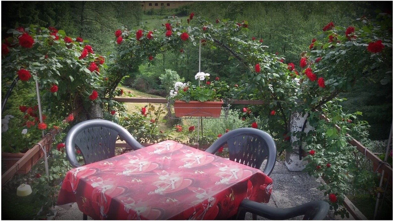 Photo of Outdoor in Azzio