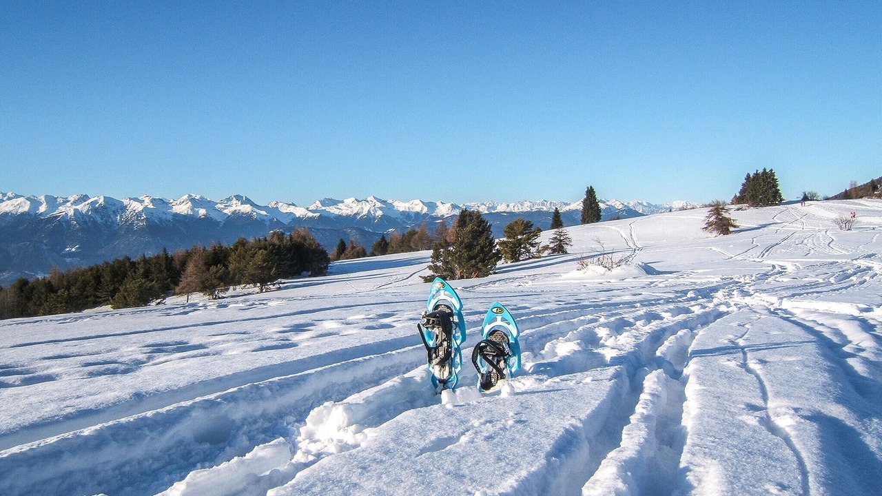 Photo of Others in Aprica