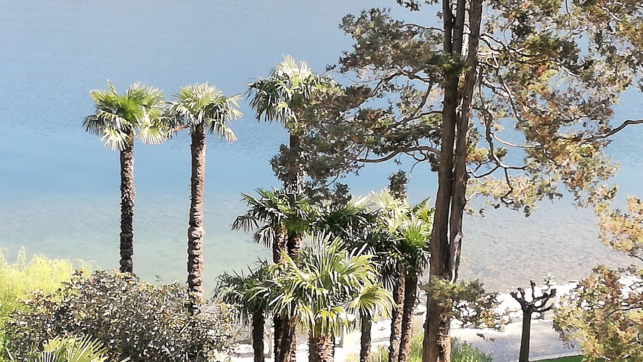Photo of Patio Balcony in Limonta