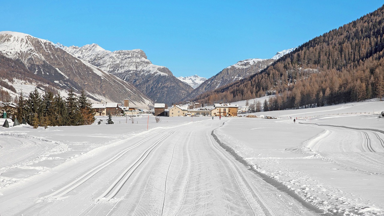 Photo of Others in Livigno