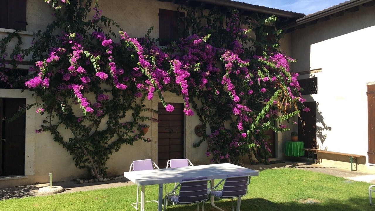 Photo of Outdoor in Cunettone-villa