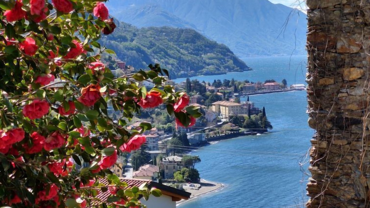 Photo of Others in Bellano