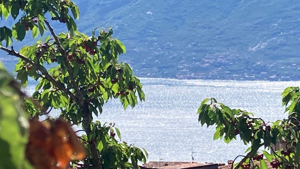 Photo of Others in Tignale