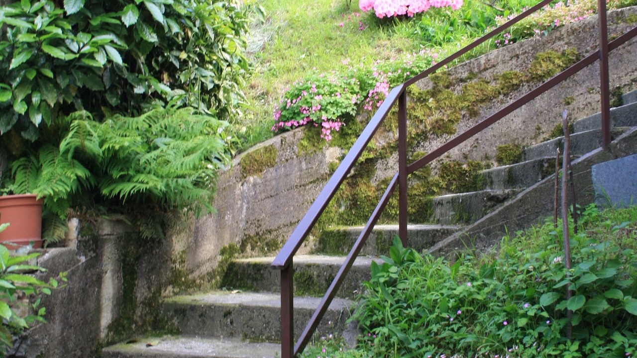 Photo of Outdoor in Lezzeno