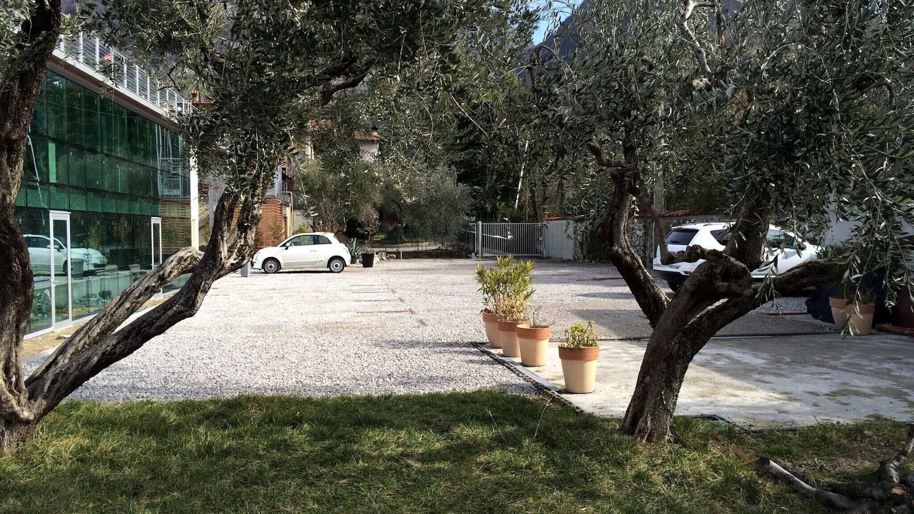 Photo of Others in Marone