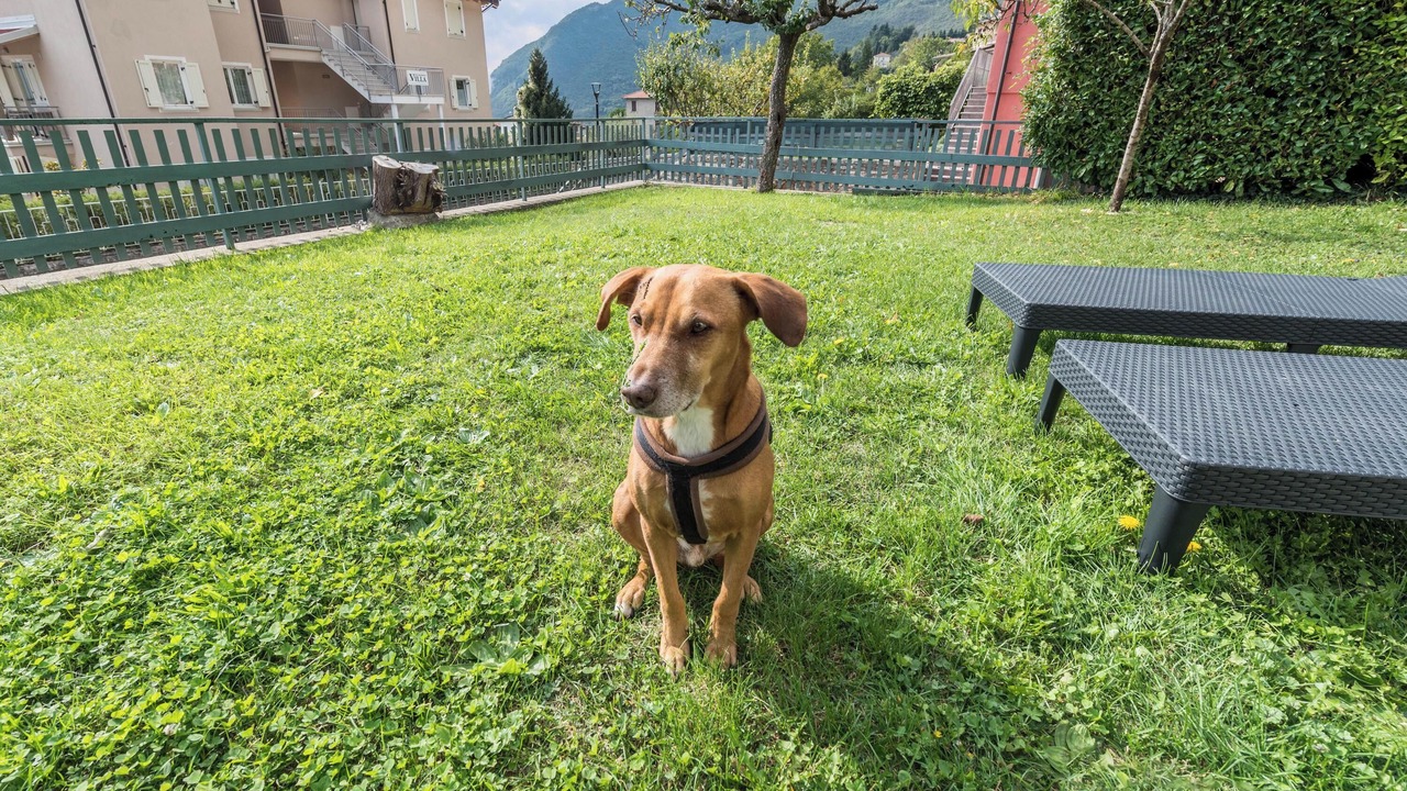 Photo of Outdoor in Aer