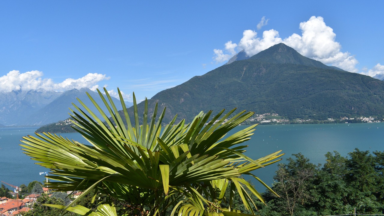 Photo of Others in Pianello del Lario