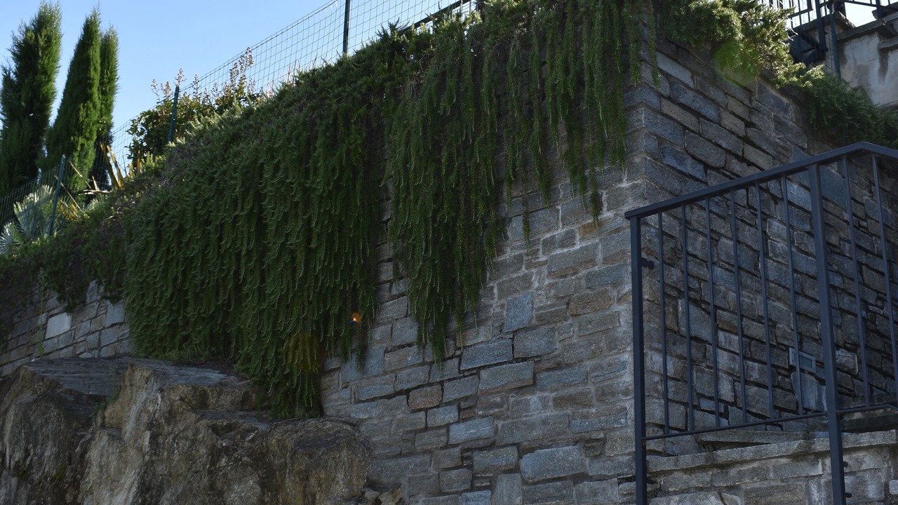 Photo of Outdoor in Pianello del Lario