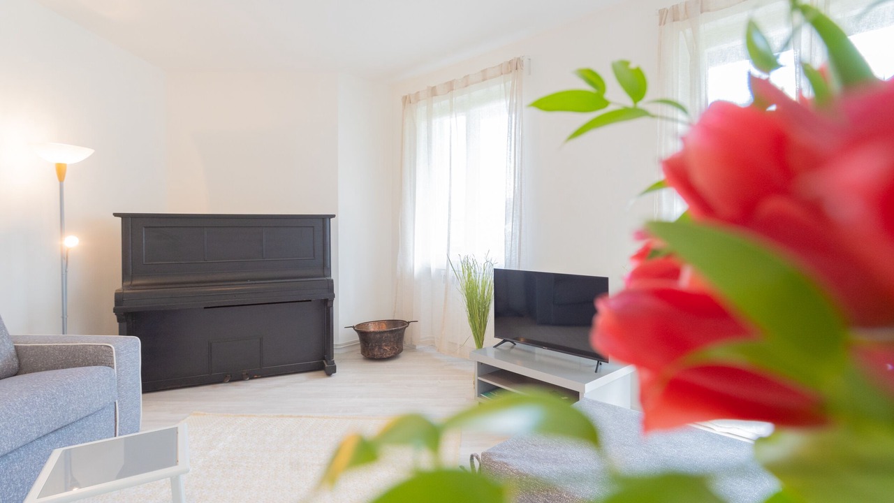 Photo of Livingroom in Dongo