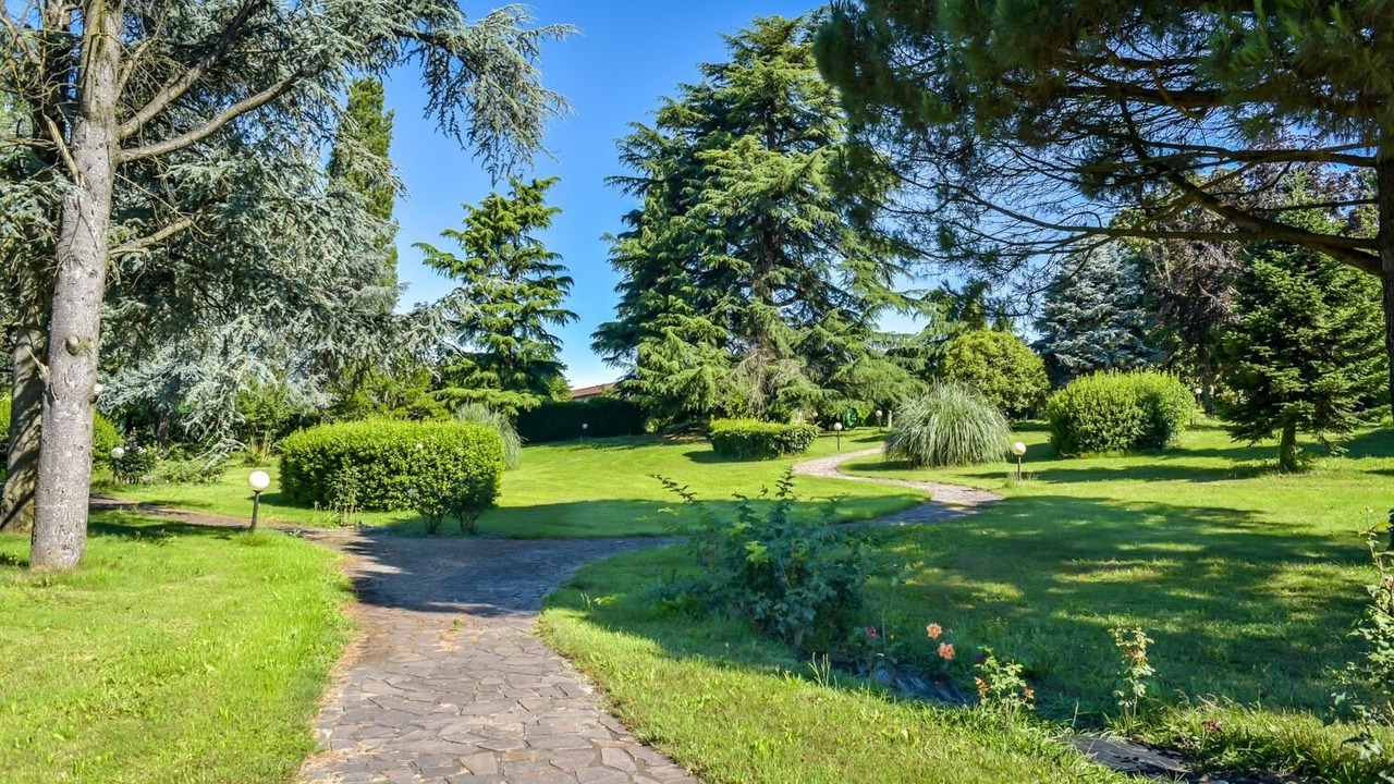 Photo of Outdoor in Zelata