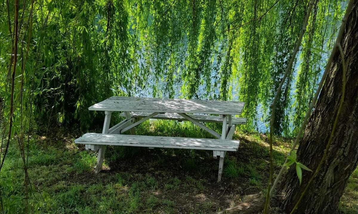 Photo of Outdoor in Sarnico