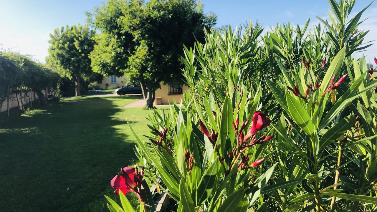 Photo of Outdoor in Monticelli Pavese