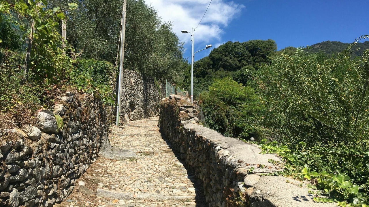 Photo of Others in Domaso