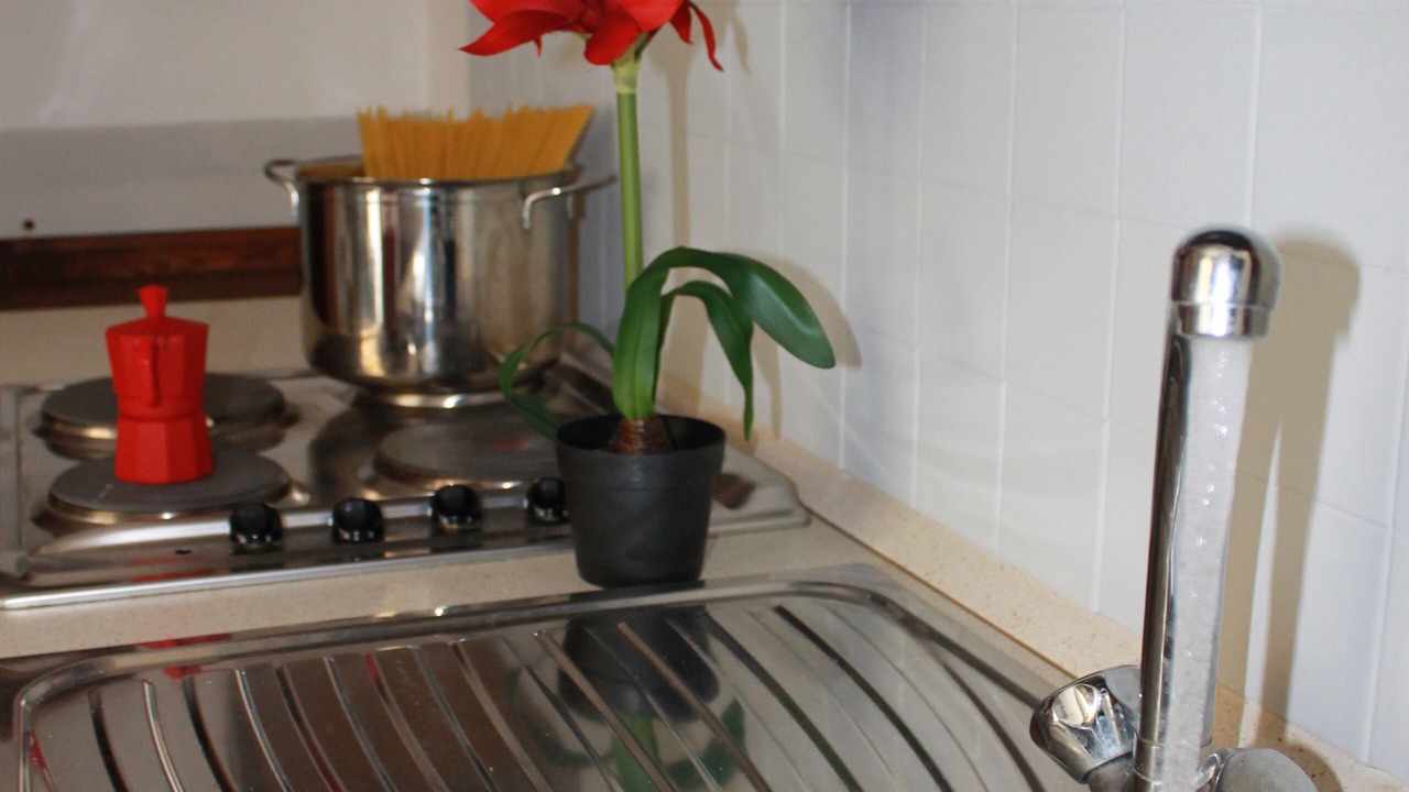 Photo of Kitchen in Paratico