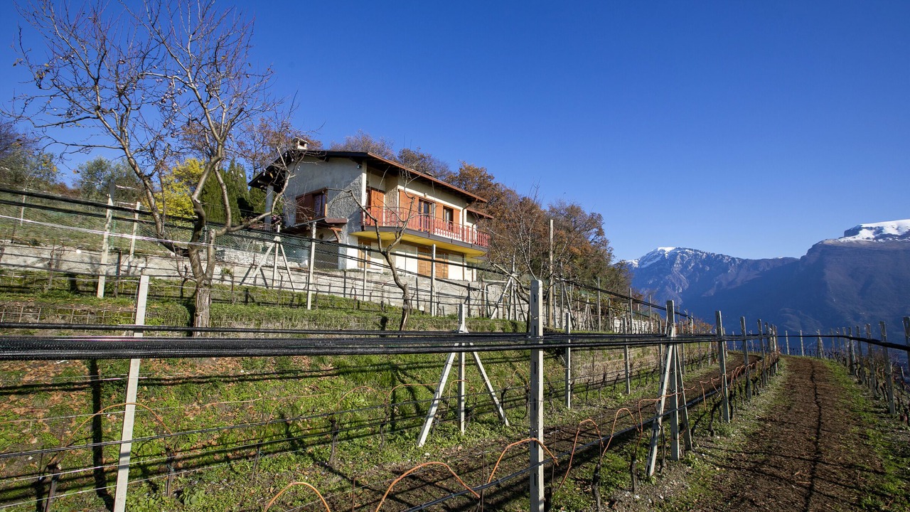 Photo of Outdoor in Voltino