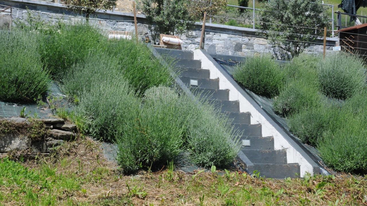 Photo of Outdoor in Consiglio di Rumo