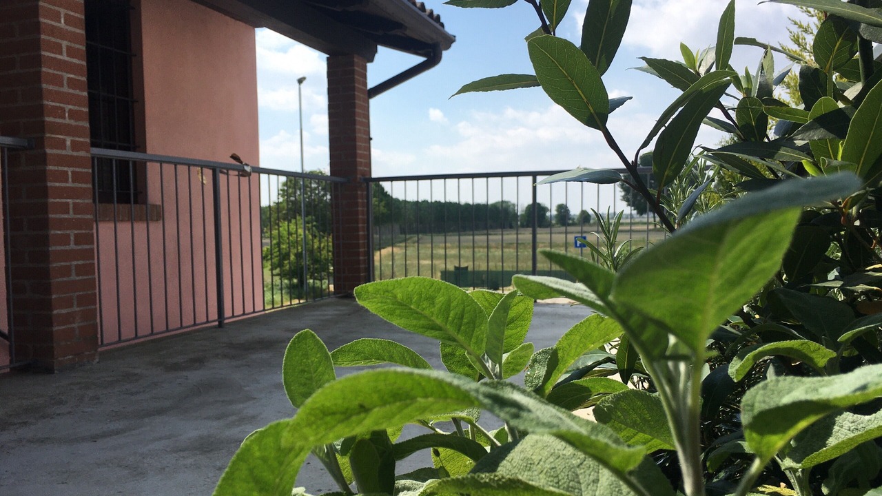 Photo of Outdoor in Travaco Siccomario