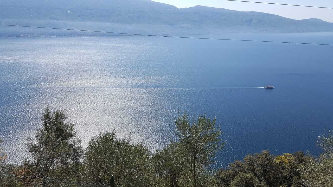 Photo of Others in Muslone