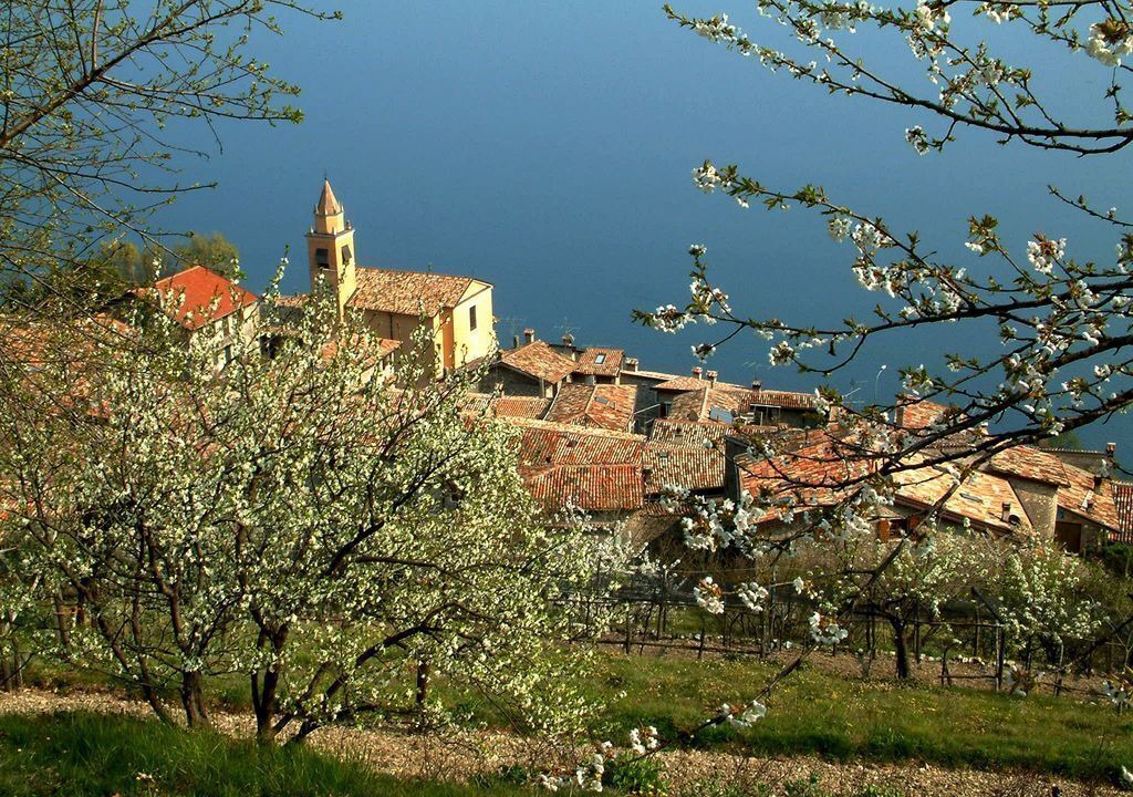 Photo of Outdoor in Muslone