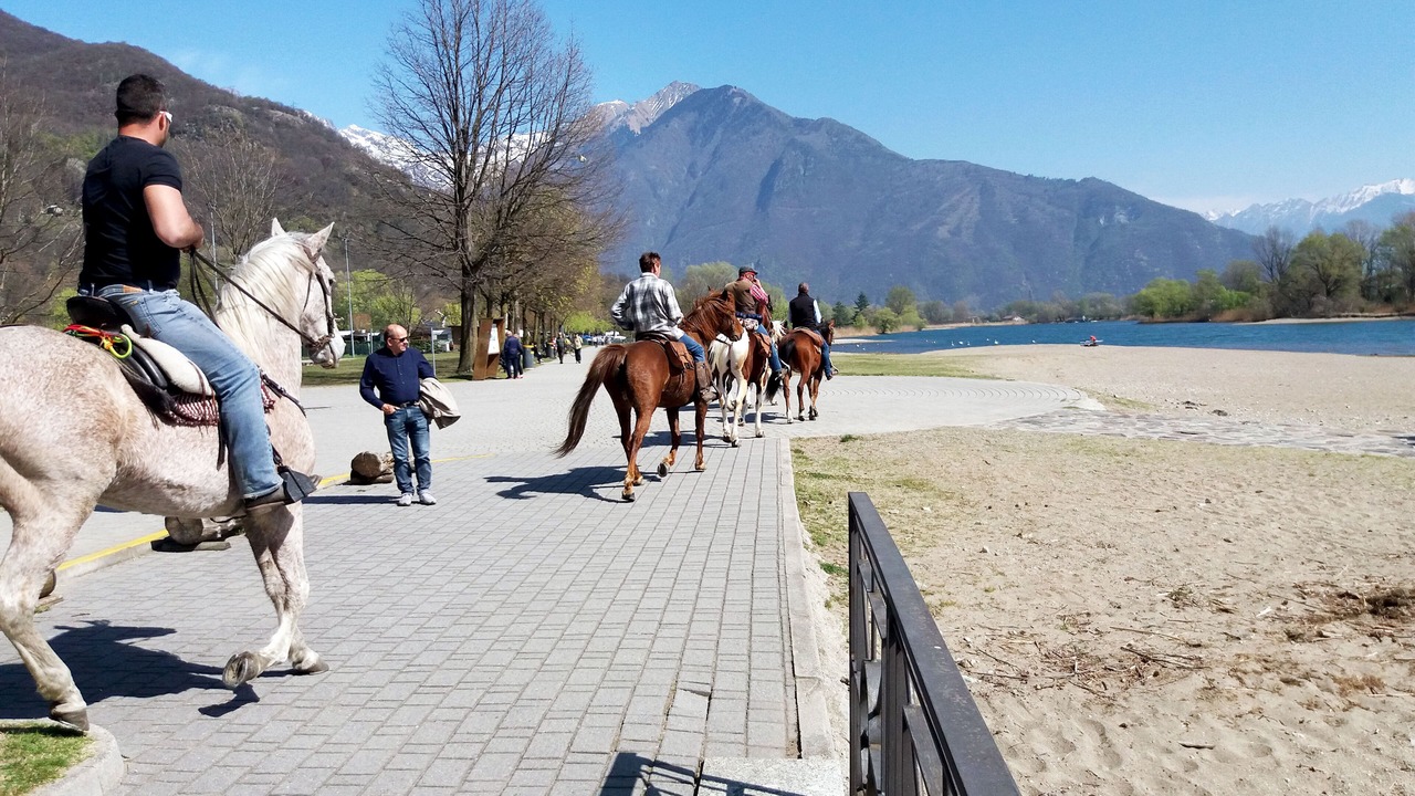 Photo of Others in Dubino