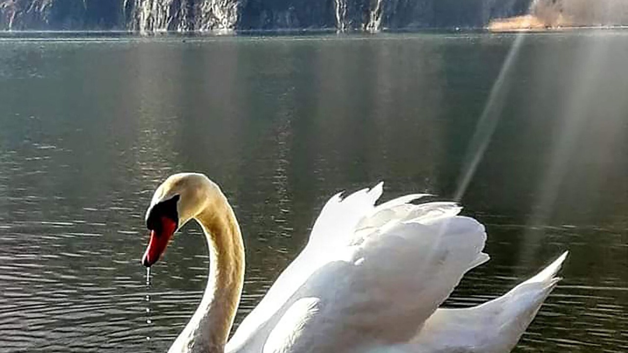 Photo of Others in Dubino