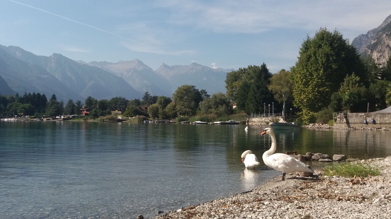 Photo of Outdoor in Dubino