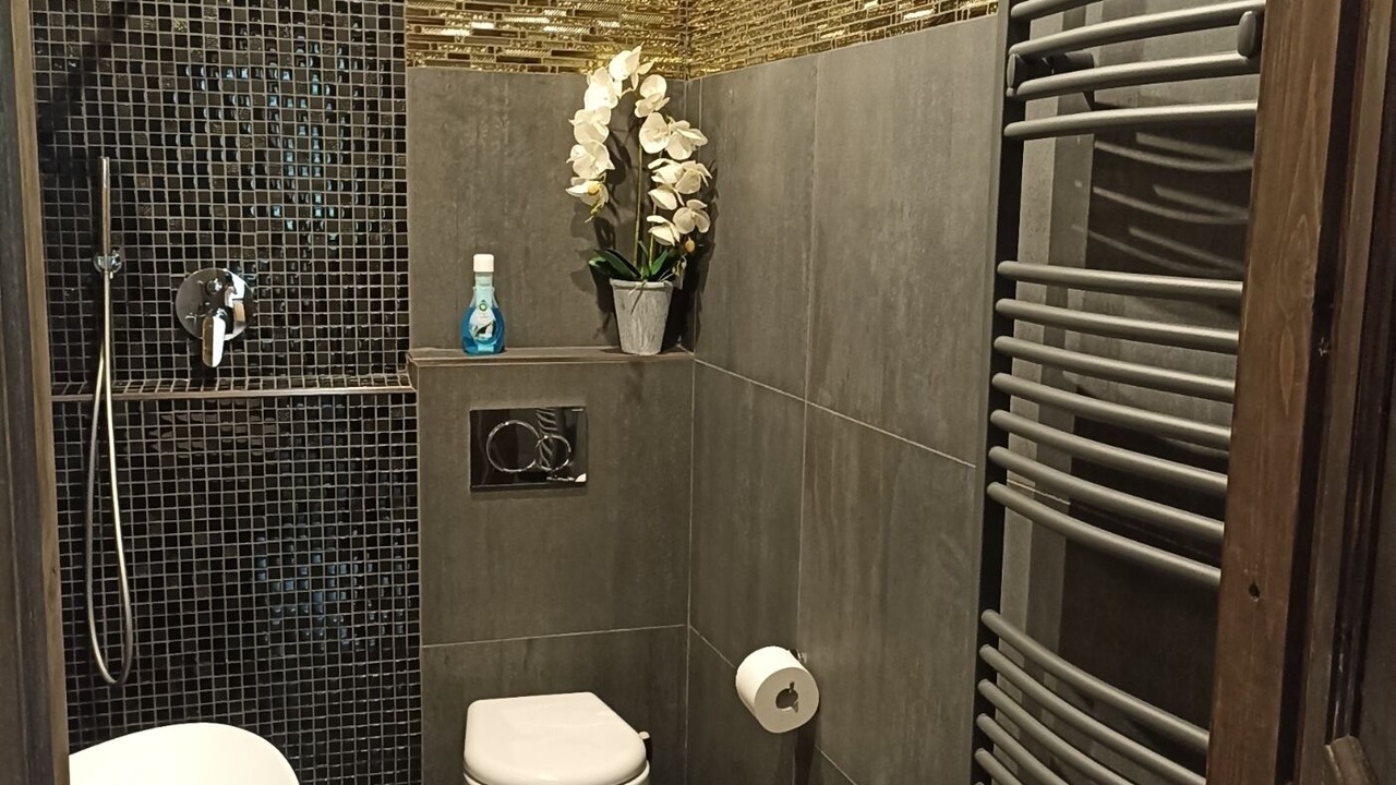 Photo of Bathroom in Dubino