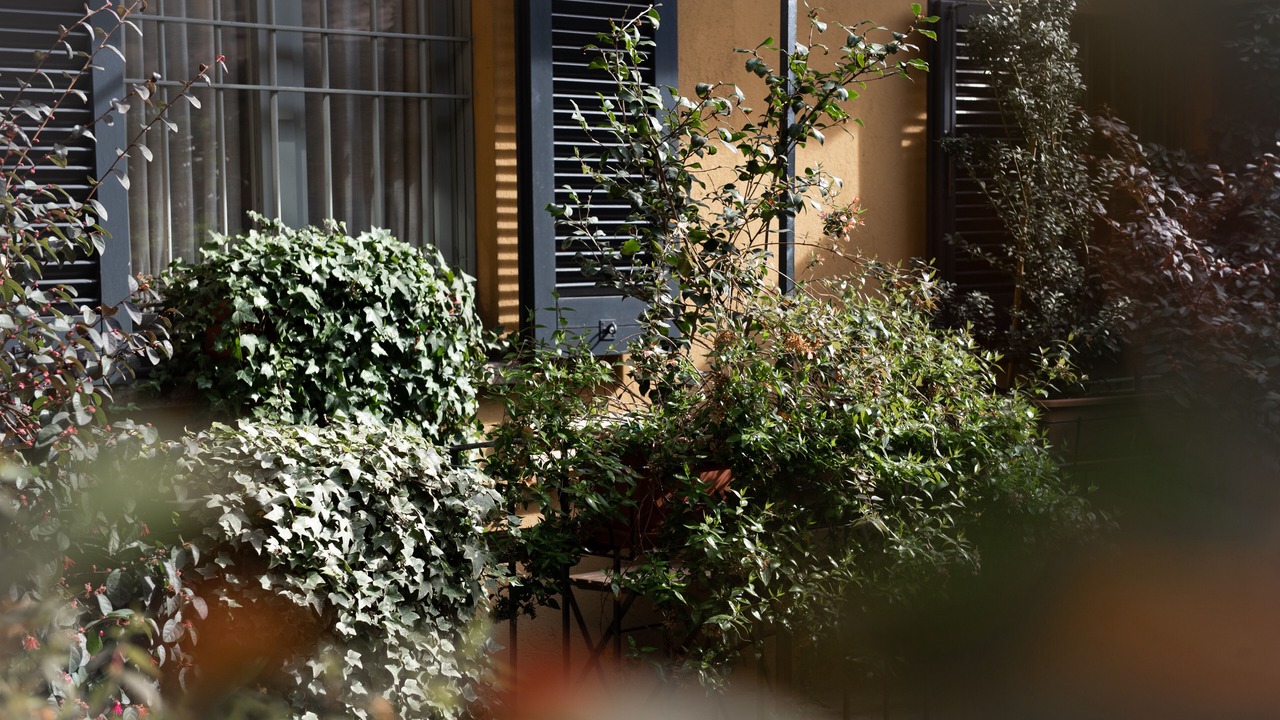 Photo of Outdoor in Brera
