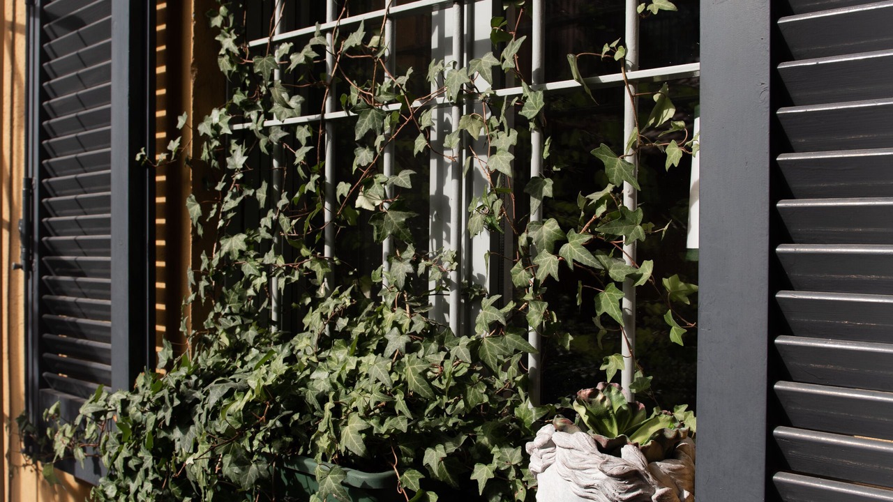 Photo of Outdoor in Brera