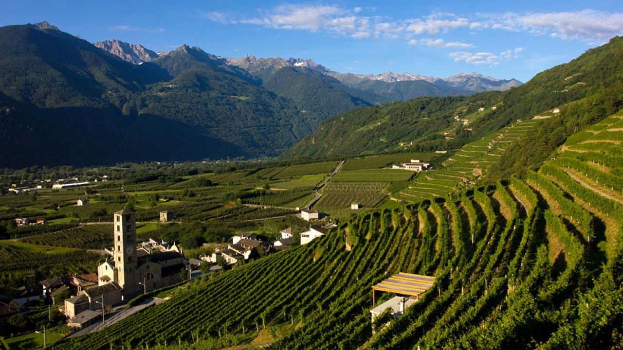 Photo of Outdoor in Ardenno