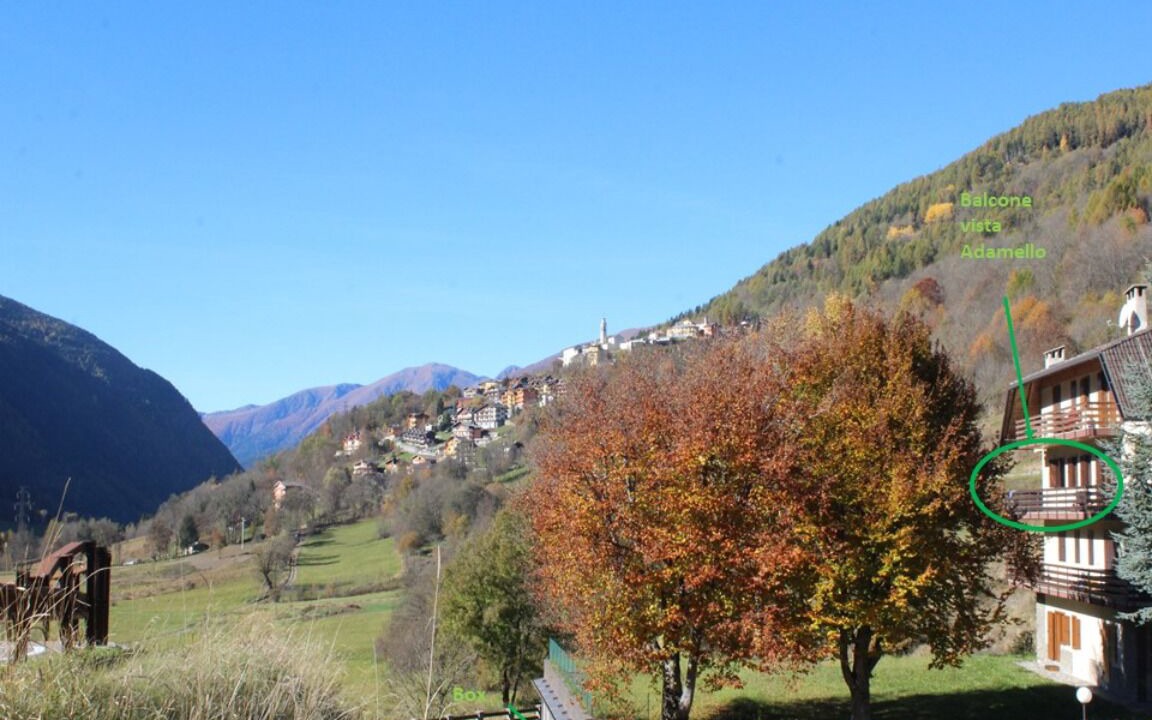 Photo of Outdoor in Temu