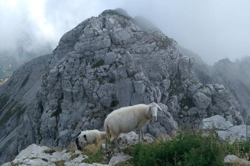 Photo of Outdoor in Pasturo